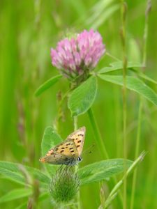 a0960_007473_m